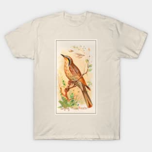 Singing Honey Eater T-Shirt